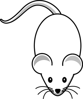 Affordable-Rodent-Control--in-Mountain-Center-California-affordable-rodent-control-mountain-center-california.jpg-image