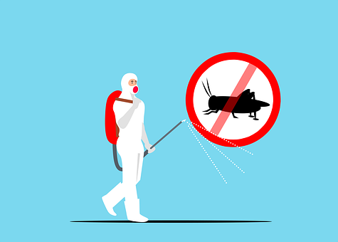 Exterminators--in-Aguanga-California-exterminators-aguanga-california.jpg-image