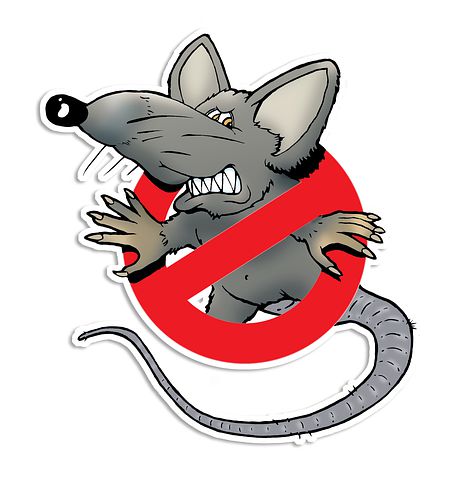 Rodent-Control--in-Wildomar-California-rodent-control-wildomar-california.jpg-image